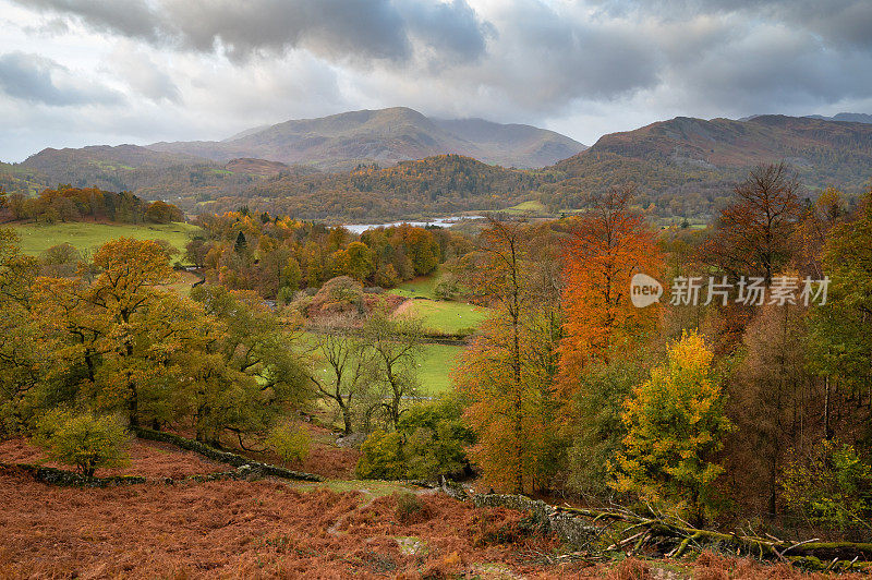 来自湖区国家公园Loughrigg Fell的秋色